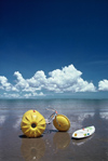 Australia - Darwin (NT): Mindil Beach - photo by  Picture Tasmania/Steve Lovegrove