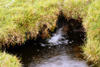 Vágar island, Faroes: small waterfall hidden by grass, near Sørvagsvatn lake - photo by A.Ferrari
