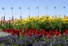 Hungary / Ungarn / Magyarország - Budapest: flower beds and poles with Hungarian flags (photo by J.Kaman)