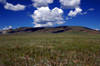 Khövsgöl province, Mongolia: grasslands, on the way to Khövsgöl Nuur - photo by A.Ferrari