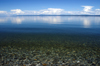 Khövsgöl lake / Nuur, Khövsgöl province, Mongolia: the clear water of Khövsgöl lake - photo by A.Ferrari