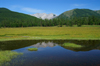 Khövsgöl lake / Nuur, Khövsgöl province, Mongolia: reflections - photo by A.Ferrari