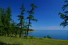 Khövsgöl lake / Nuur, Khövsgöl province, Mongolia: forest along the shore - photo by A.Ferrari