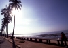 Mozambique / Moçambique - Maputo / Lourenço Marques: Indian ocean waterfront - coconut trees - avenida marginal - coqueiros (antiga avenida D. Manuel I) - photo by F.Rigaud