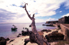 Ilha de Moçambique / Mozambique island: forte de São Sebastião / São Sebastião fort - photo by F.Rigaud