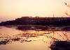 Portugal - Montemor o Velho: nos sapais