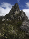 Australia - Tasmania - Franklin–Gordon Wild Rivers National Park: peak - Tasmanian Wilderness World Heritage Area (photo by  M.Samper)