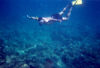 East Timor - Timor Leste: diving in the coral reef (photo by Mário Tomé)