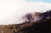 East Timor - Timor Leste: in the fog (photo by Mário Tomé)
