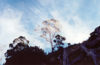 East Timor - Timor Leste: ray of light (photo by Mário Tomé)