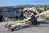 Cappadocia - Göreme, Nevsehir province, Central Anatolia, Turkey: old cart and tufa landscape - photo by W.Allgöwer