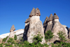 Cappadocia - Göreme, Nevsehir province, Central Anatolia, Turkey: basalt over tuff - fairy chimneys and a bit of forest - Valley of the Monks - Pasabagi Valley- photo by W.Allgöwer