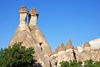 Cappadocia - Göreme, Nevsehir province, Central Anatolia, Turkey: fairy chimneys and trees - earth pyramids - Valley of the Monks - Pasabagi Valley- photo by W.Allgöwer